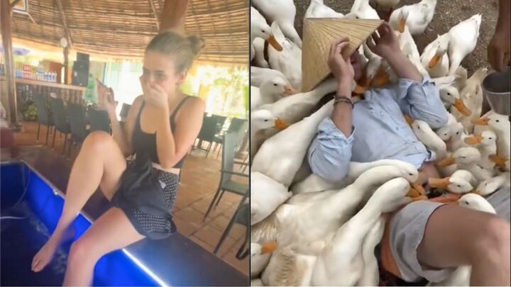 Kh&aacute;ch T&acirc;y đi massage vịt, c&aacute; ở Việt Nam khen 'kỹ thuật vi&ecirc;n rất tốt, rất h&agrave;i' - Ảnh 3.