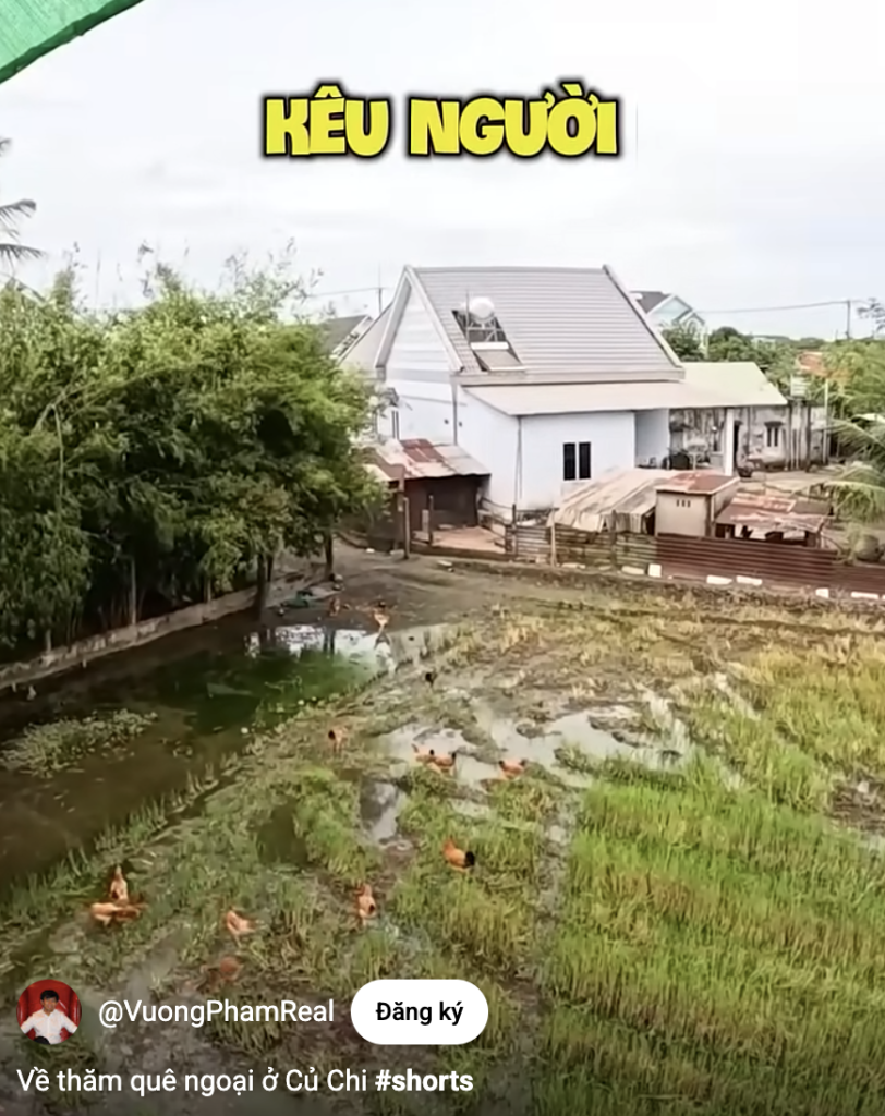 - Ảnh 5.