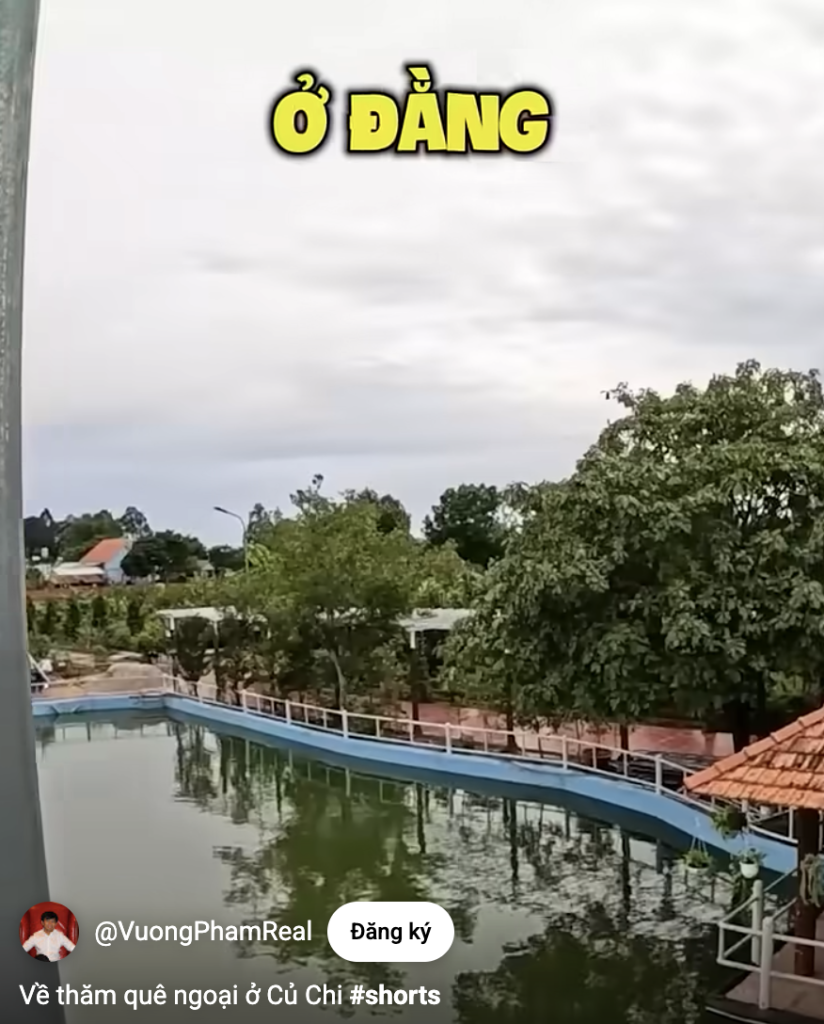  - Ảnh 2.