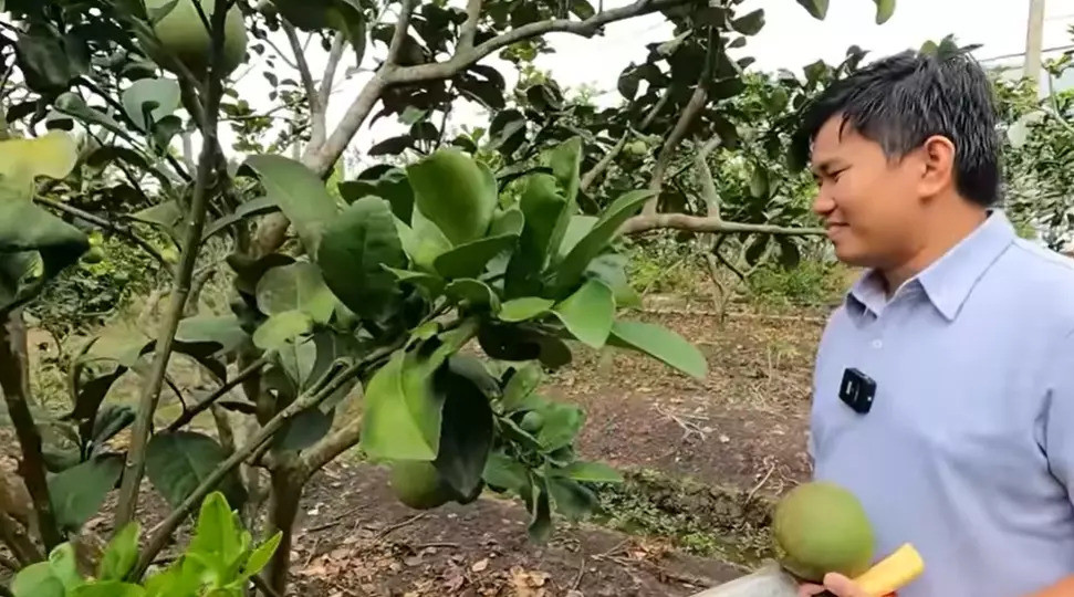  - Ảnh 6.
