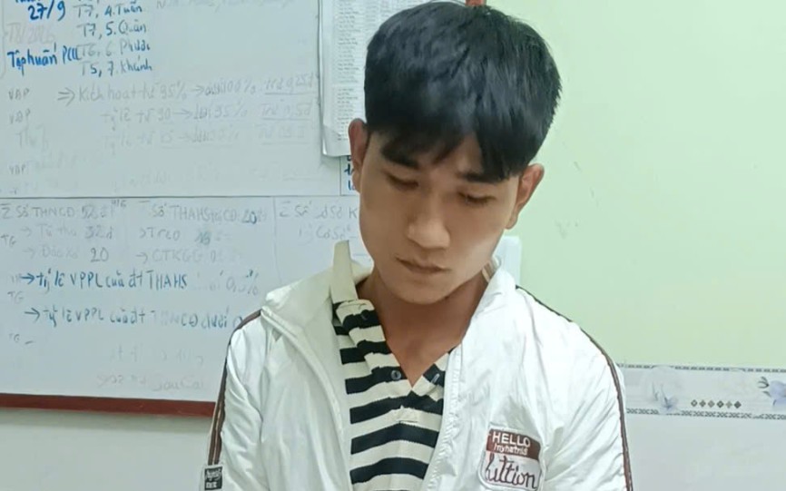  - Ảnh 5.