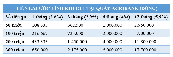  - Ảnh 1.
