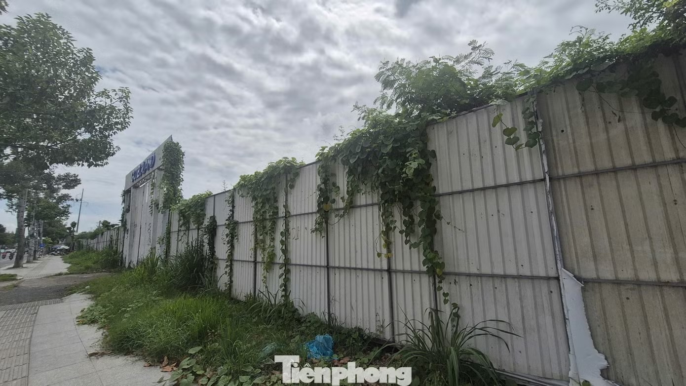 Đề xuất đánh thuế đất bỏ hoang cao gấp 7 lần: Tránh trở thành “phạt” người có đất? - Ảnh 2.