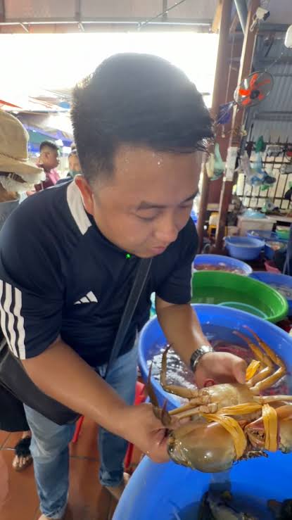 Giải pháp