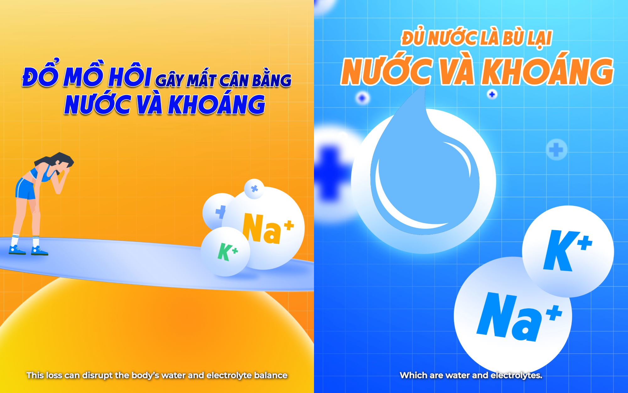 Revive Thể Thao: Bí quyết nâng cao sức bền, bứt phá giới hạn của các tuyển thủ quốc gia - Ảnh 2. Revive Thể Thao: Bí quyết nâng cao sức bền, bứt phá giới hạn của các tuyển thủ quốc gia - Ảnh 2.