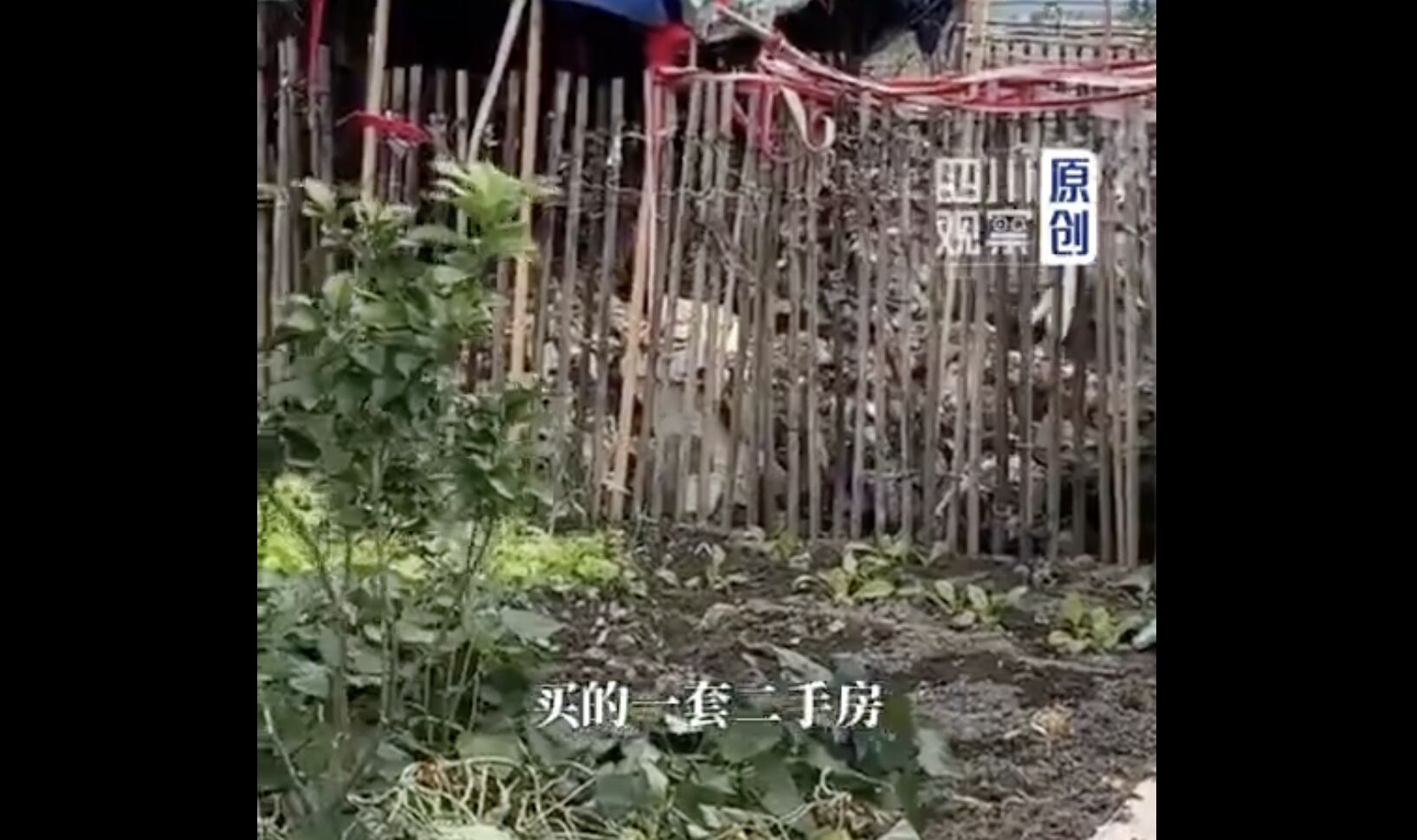 Mua nh&agrave; 8 năm mới ph&aacute;t hiện ngay tr&ecirc;n trần ph&ograve;ng kh&aacute;ch l&agrave; một ng&ocirc;i mộ - Ảnh 2.