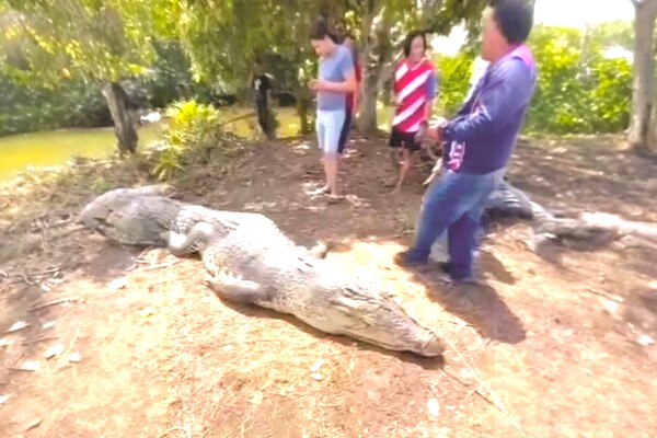 Cần thủ vô tình móc trúng "quái thú" dài hơn 4,5m, nặng trên 1 tấn: Kéo lên mới phát hiện điều bất thường - Ảnh 2.