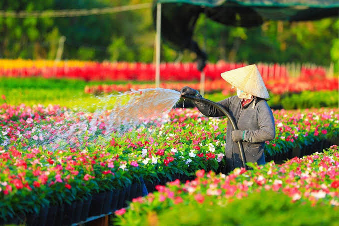 Phát hiện ngôi làng ở Việt Nam có hơn 2.000 giống hoa 'không chạm đất', mỗi lần chăm cây phải làm việc này - Ảnh 3.