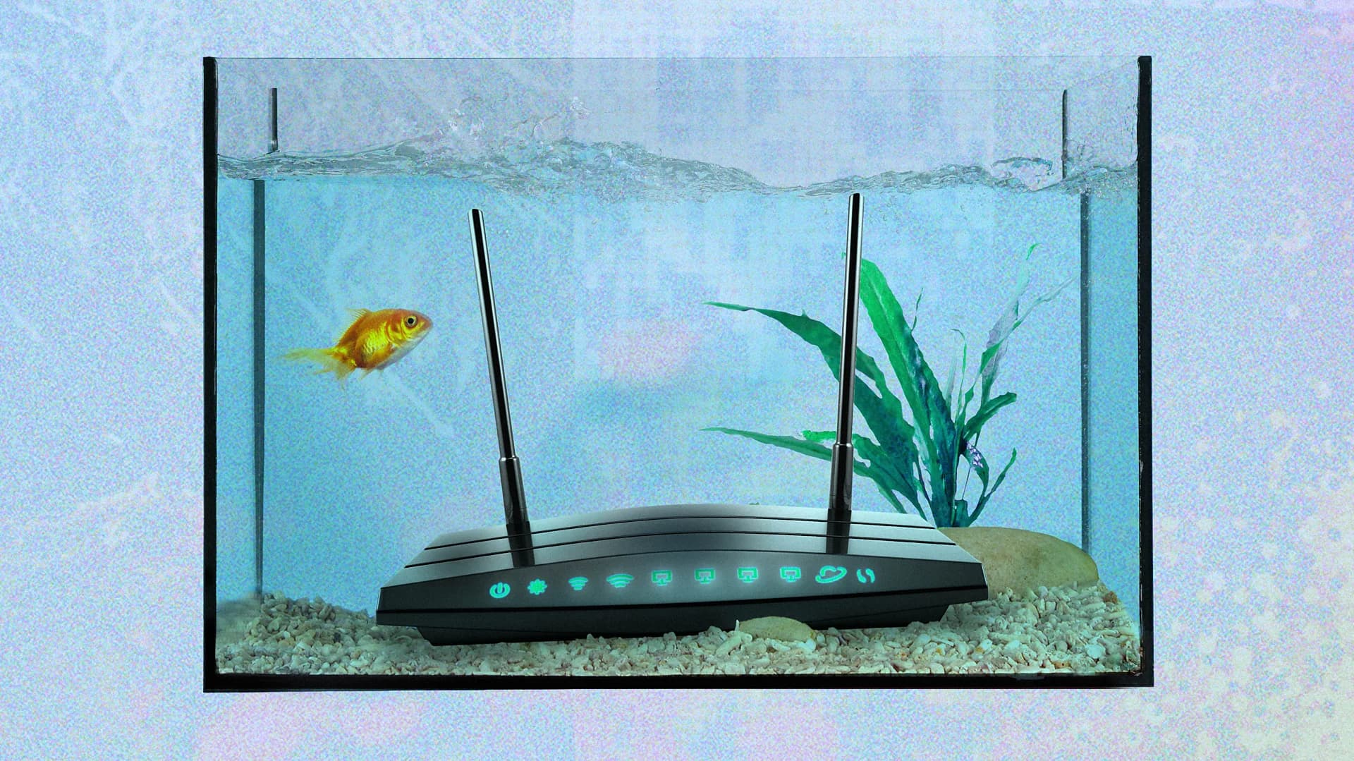 Đồ vật &iacute;t ai ngờ tới c&oacute; thể khiến Wi-Fi trong nh&agrave; yếu đi - Ảnh 1.