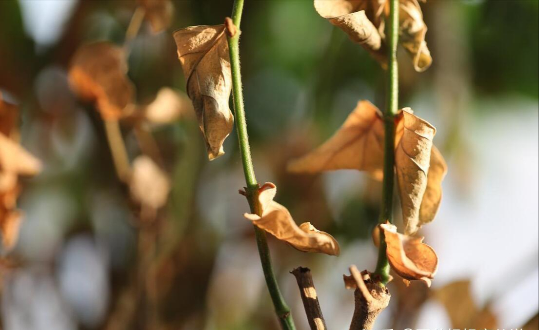 Dọn dẹp nhà cửa trước tết: 4 thứ cần bỏ để tâm hồn nhẹ nhàng - Ảnh 4.