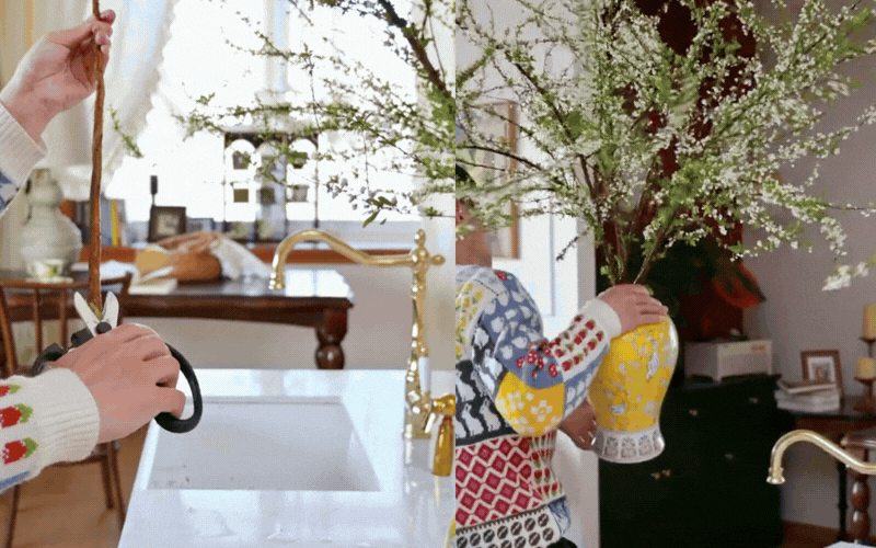 Mẹo giữ hoa tuyết mai tươi l&acirc;u 2 tuần m&agrave; bạn chưa biết - Ảnh 12.