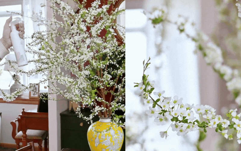 Mẹo giữ hoa tuyết mai tươi l&acirc;u 2 tuần m&agrave; bạn chưa biết - Ảnh 13.