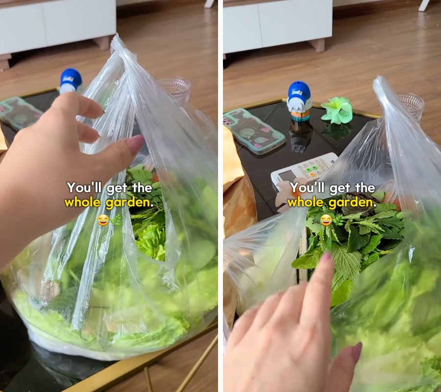 Kh&aacute;ch T&acirc;y kh&aacute;m ph&aacute; ẩm thực Việt Nam với khu vườn rau tươi ngon miễn ph&iacute; - Ảnh 3.