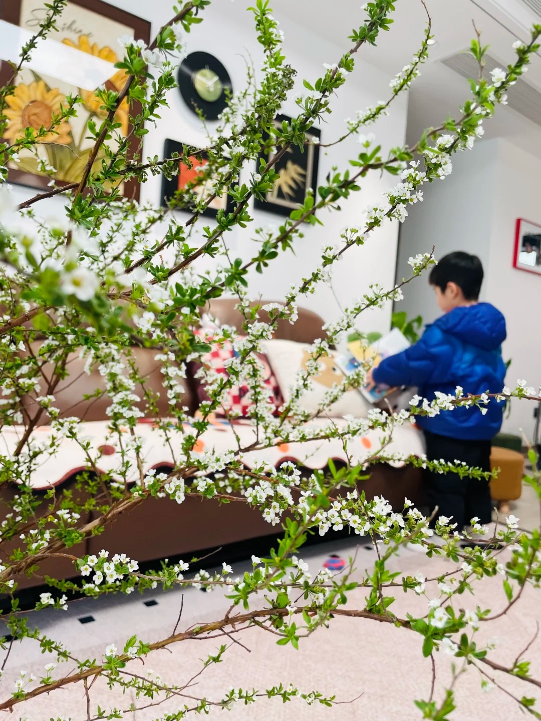 Mẹo giữ hoa tuyết mai tươi l&acirc;u 2 tuần m&agrave; bạn chưa biết - Ảnh 7.