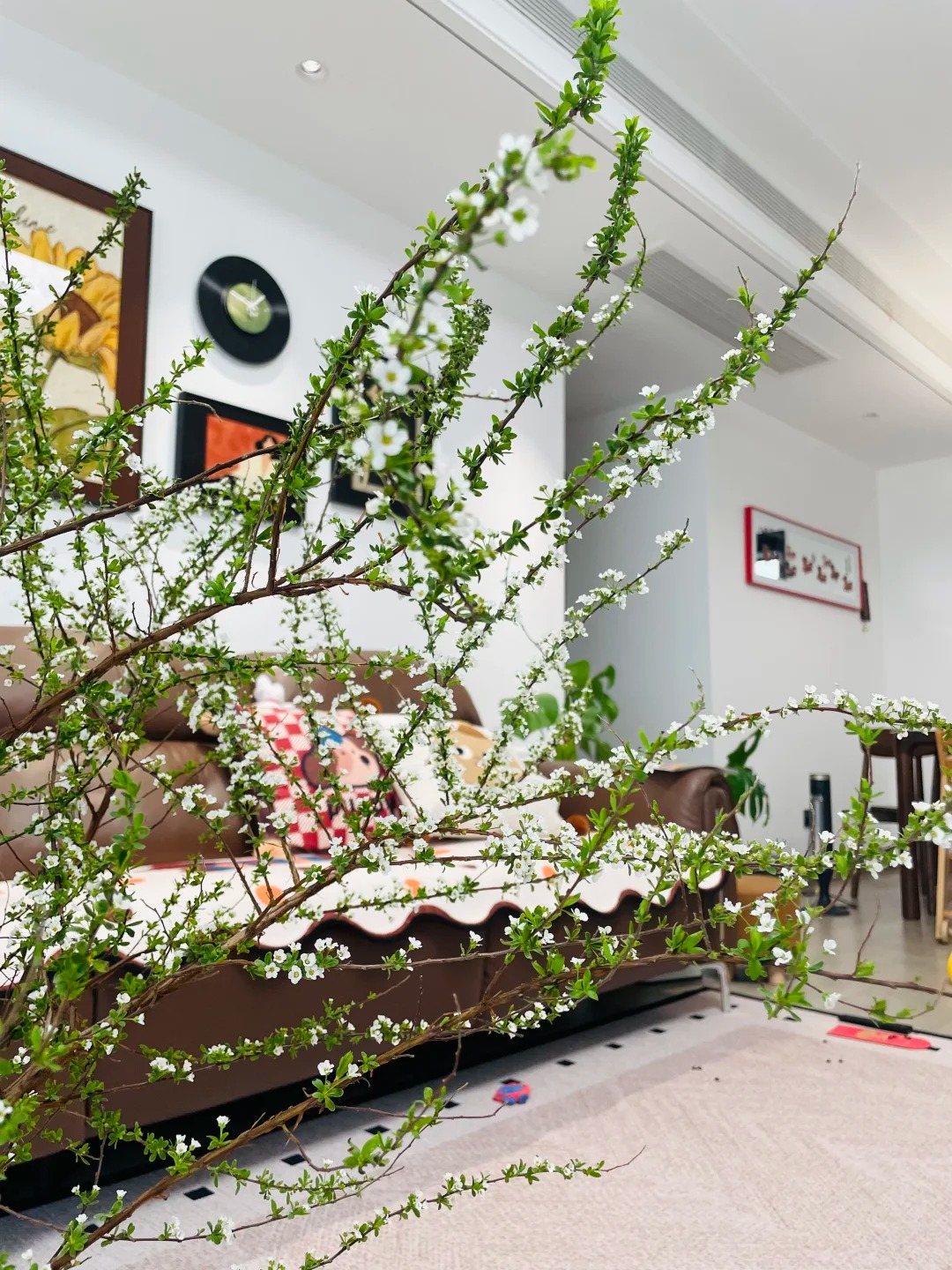 Mẹo giữ hoa tuyết mai tươi l&acirc;u 2 tuần m&agrave; bạn chưa biết - Ảnh 6.