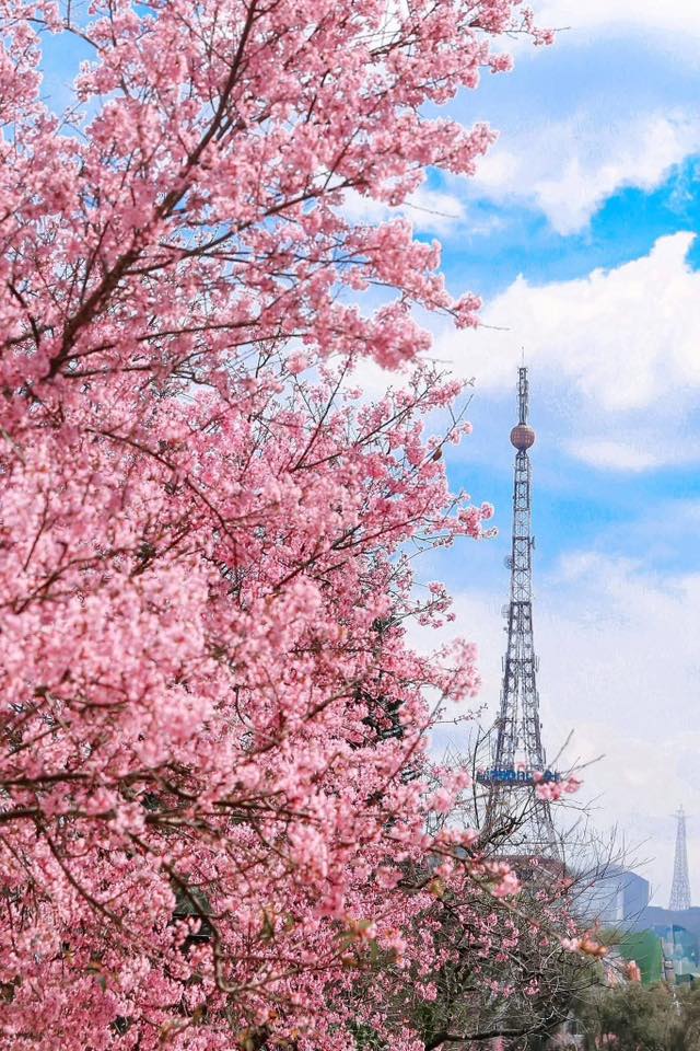 Nơi được ví như "tiểu Paris của Việt Nam": Du khách giật mình vì nhiều điểm chung, có tòa tháp như Eiffel - Ảnh 6.