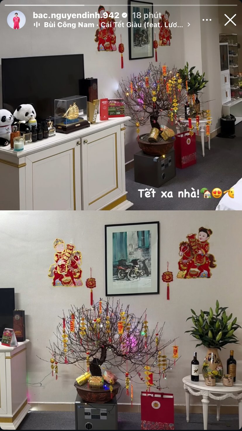 Không ai như Đình Bắc: Mang két sắt làm giá đỡ chậu hoa đào, mua bình cắm hoa ngày Tết cũng hút fan rần rần - Ảnh 2.