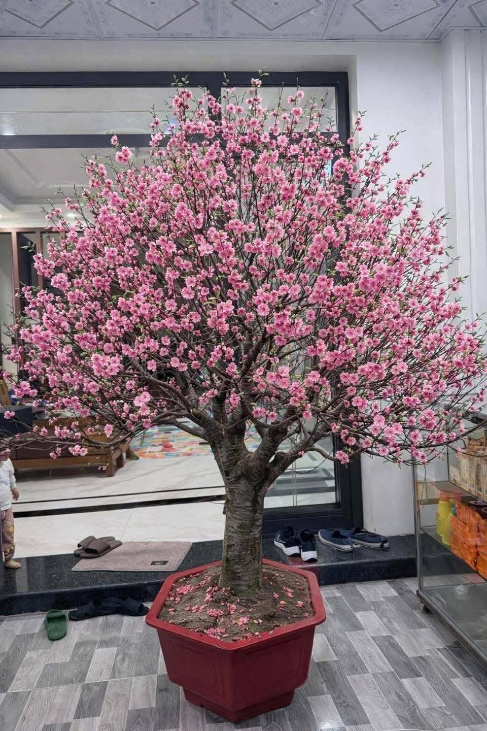 Bi h&agrave;i chuyện chơi đ&agrave;o Tết khiến 1 người rơi lệ, vạn người x&ocirc;n xao- Ảnh 3.