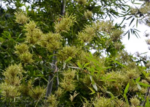 Một c&acirc;y bạc tỷ của Việt Nam vừa lập kỷ lục xuất khẩu cao nhất lịch sử: Thu về hơn 300 triệu USD, thị phần c&aacute;c doanh nghiệp ra sao? - Ảnh 1.