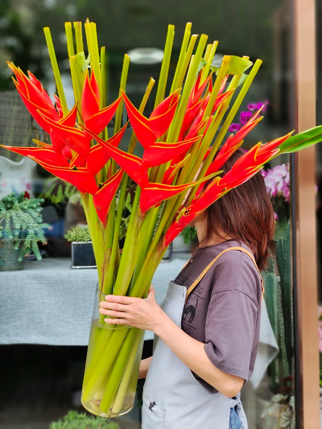 Chuối én đỏ - bảo bối phong thủy rước lộc may mắn cho gia đình bạn - Ảnh 20.