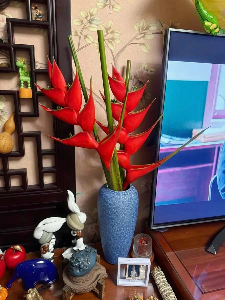 Chuối én đỏ - bảo bối phong thủy rước lộc may mắn cho gia đình bạn - Ảnh 4.