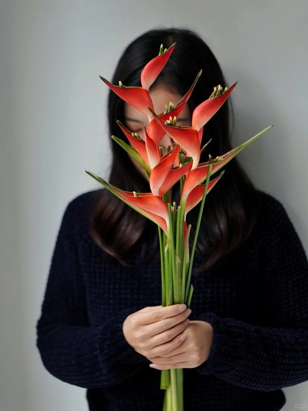 Chuối én đỏ - bảo bối phong thủy rước lộc may mắn cho gia đình bạn - Ảnh 25.