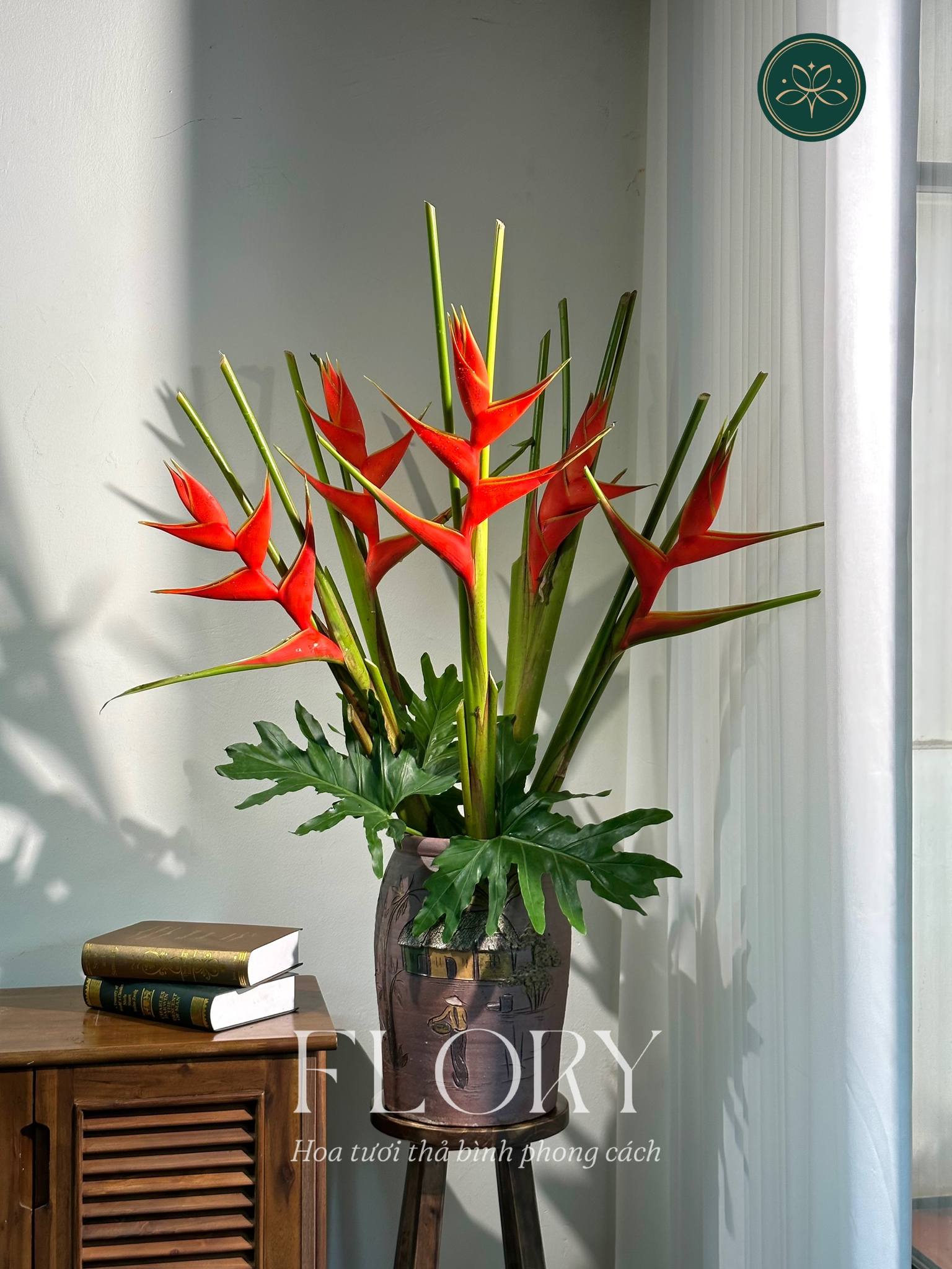 Chuối én đỏ - bảo bối phong thủy rước lộc may mắn cho gia đình bạn - Ảnh 17.