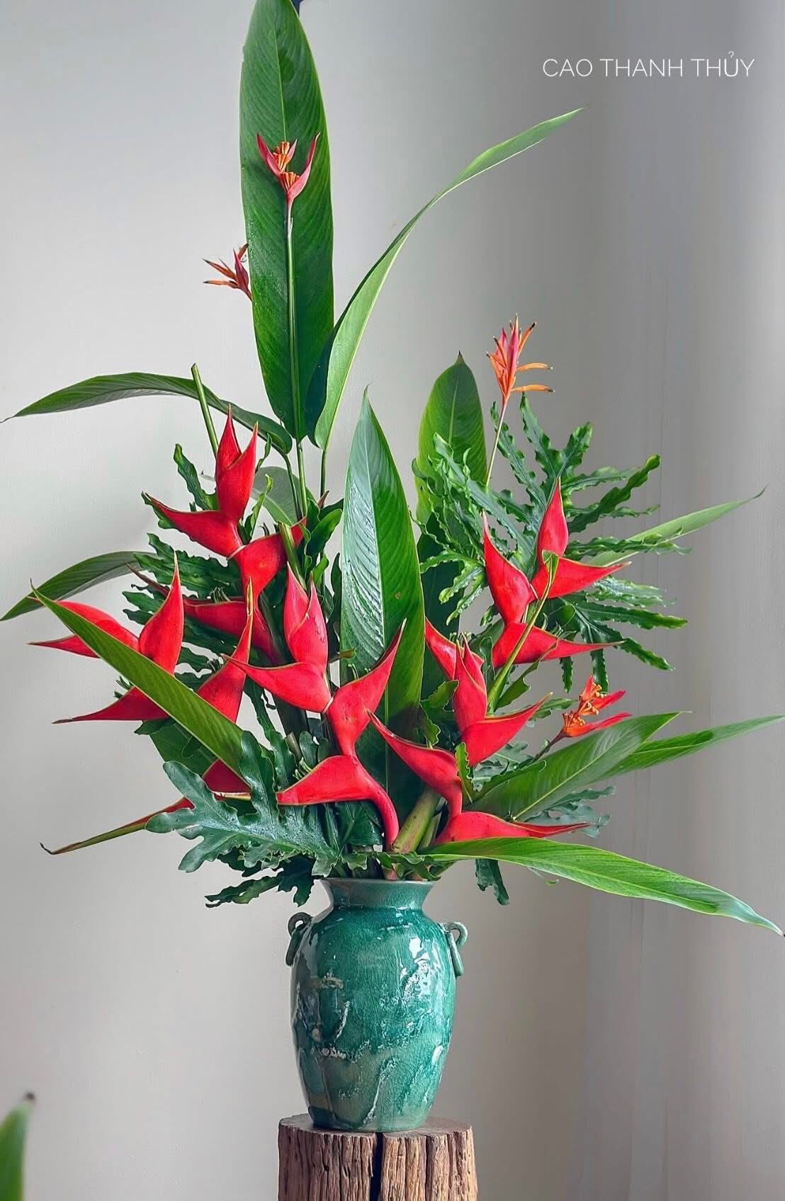 Chuối én đỏ - bảo bối phong thủy rước lộc may mắn cho gia đình bạn - Ảnh 18.