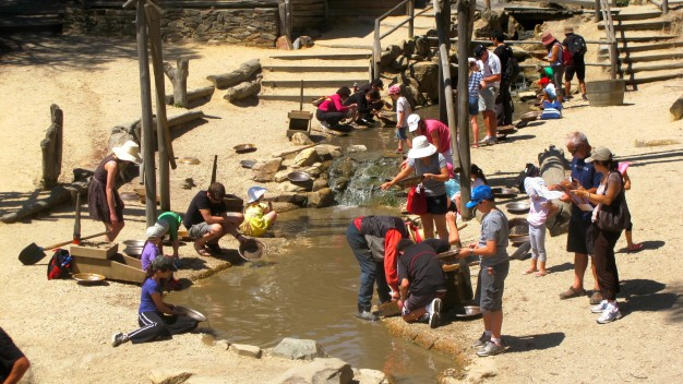 Phát hiện người đổ xô đi đào vàng mong đổi đời sau 1 đêm - Ảnh 2.