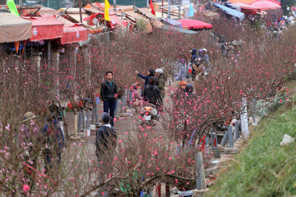 Đi chợ hoa xu&acirc;n với bạn trai một buổi, l&uacute;c về t&ocirc;i kể lại chuyện với mẹ, b&agrave; "ph&aacute;n" lu&ocirc;n: Bỏ ngay - Ảnh 1.
