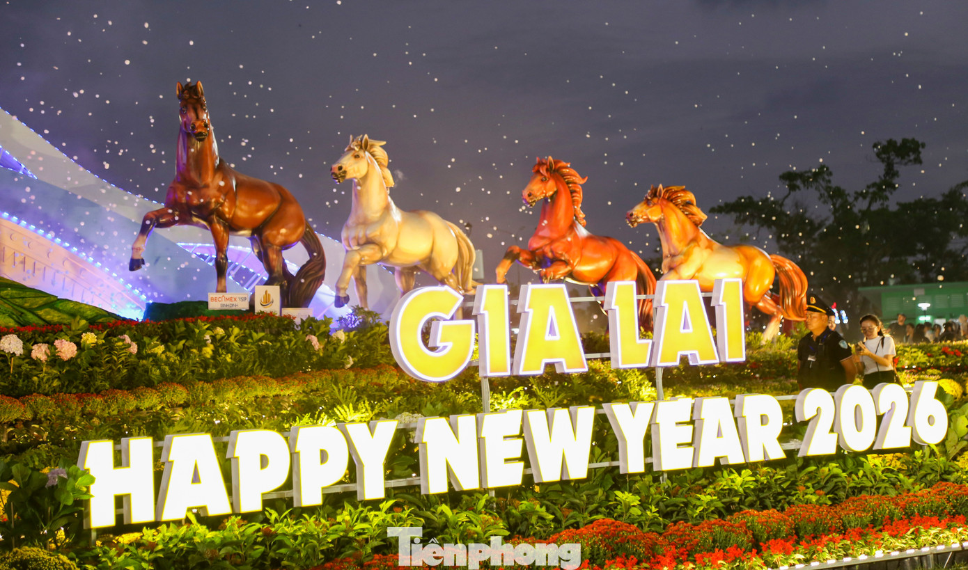 Ngựa mặt cộc cầm iPhone 17 và ngựa Superman gây sốt tại gia Lai 2026 - Ảnh 15.