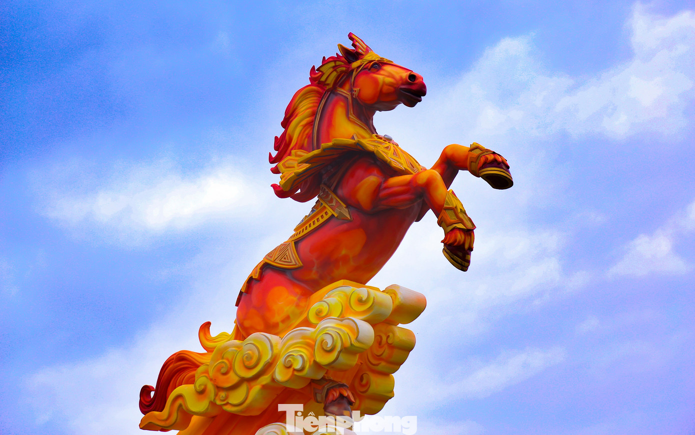 Ngựa mặt cộc cầm iPhone 17 và ngựa Superman gây sốt tại gia Lai 2026 - Ảnh 2.