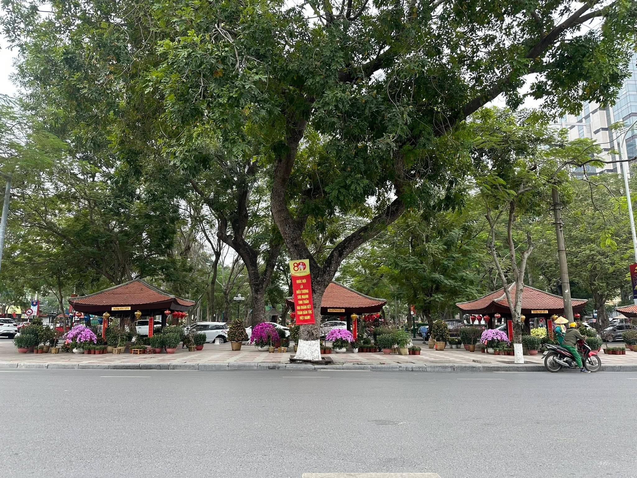 Ở Hải Phòng có thứ mà Hà Nội và TP.HCM hiếm thấy: Tồn tại suốt hơn 80 năm, sắp được khôi phục hoạt động - Ảnh 5.