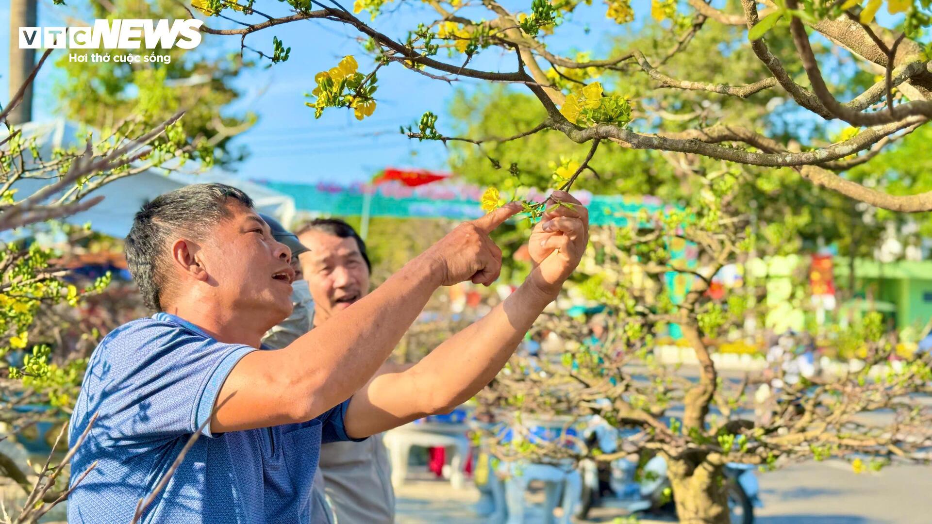 Chi&ecirc;m ngưỡng mai v&agrave;ng ngũ ph&uacute;c tiền tỷ nổi bật tại chợ hoa Xu&acirc;n Quảng Ng&atilde;i 2026 - Ảnh 2.