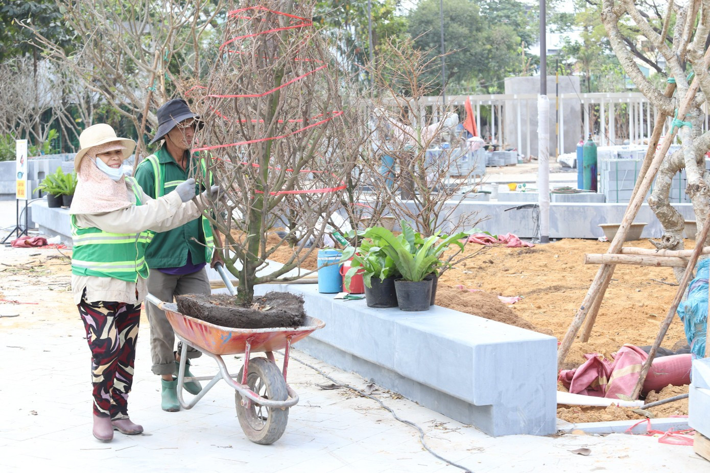 2 6720 1770900160510 1770900160779666379442