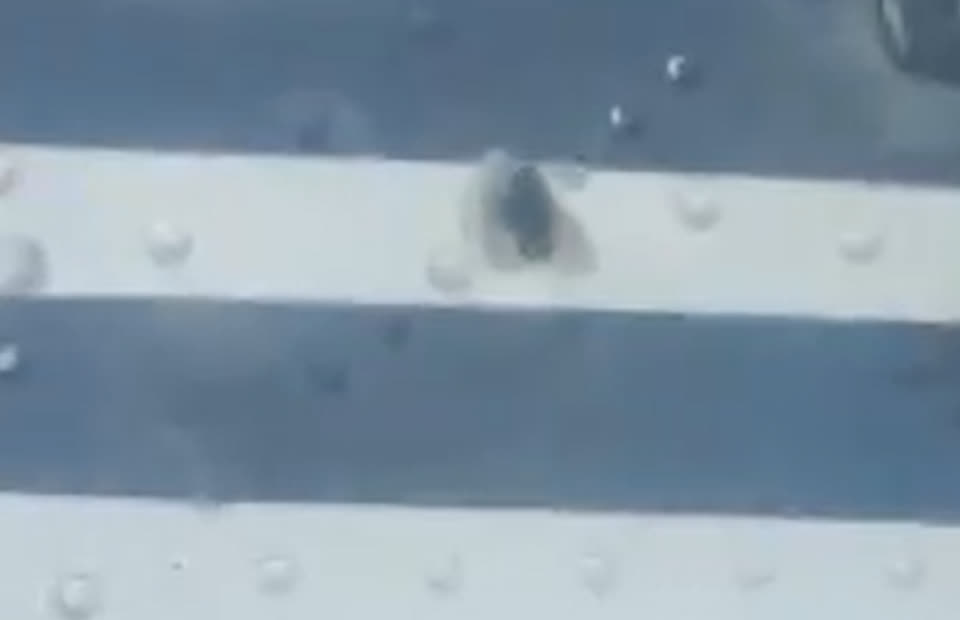 Vụ tấn c&ocirc;ng m&aacute;y bay tại Indonesia năm 2026: Cơ trưởng v&agrave; cơ ph&oacute; bị bắn tử vong - Ảnh 2.