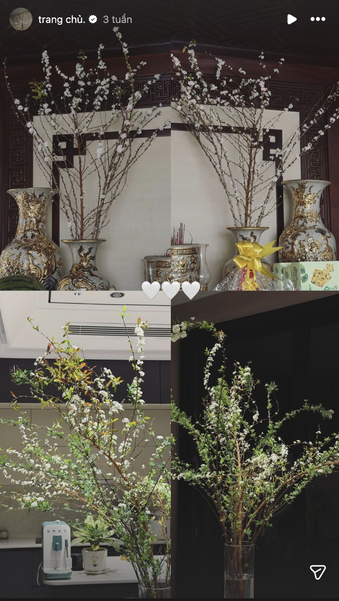 Biệt thự mấy chục tỷ nh&agrave; Đo&agrave;n Văn Hậu tr&agrave;n ngập sắc hoa đ&oacute;n Tết, tiểu thư Do&atilde;n Hải My kh&eacute;o chăm qu&aacute; đi! - Ảnh 7.