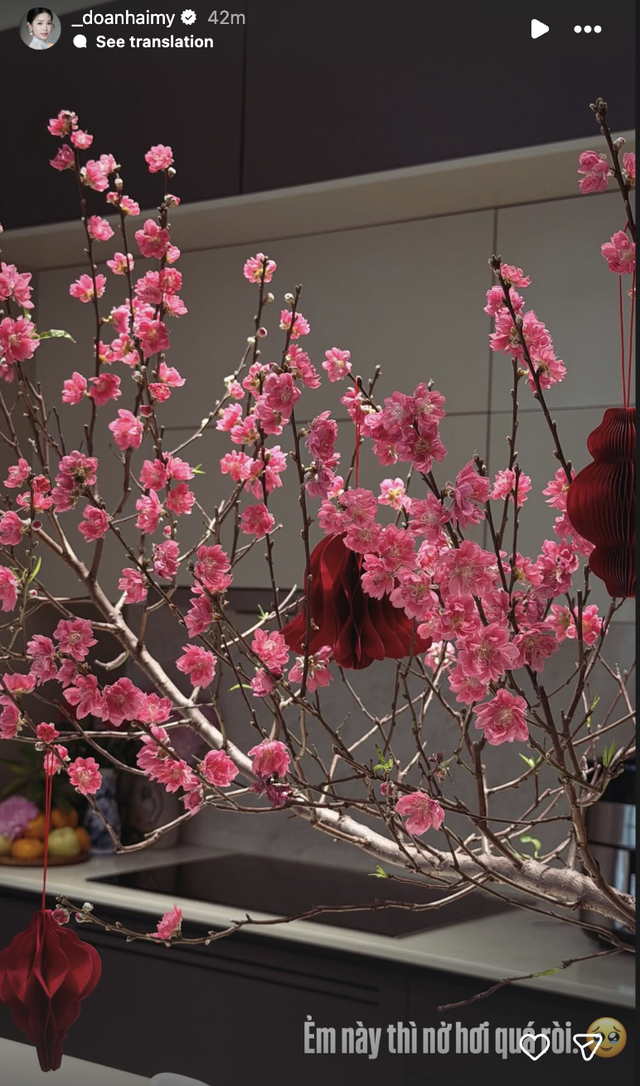 Biệt thự mấy chục tỷ nh&agrave; Đo&agrave;n Văn Hậu tr&agrave;n ngập sắc hoa đ&oacute;n Tết, tiểu thư Do&atilde;n Hải My kh&eacute;o chăm qu&aacute; đi! - Ảnh 4.