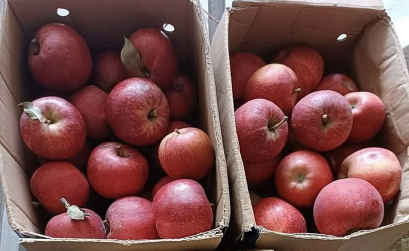 Mừng cưới anh họ 210 triệu đồng, tôi chỉ nhận lại một thùng táo: 3 năm sau, khi mẹ nhập viện, tôi mới hiểu tất cả - Ảnh 1.