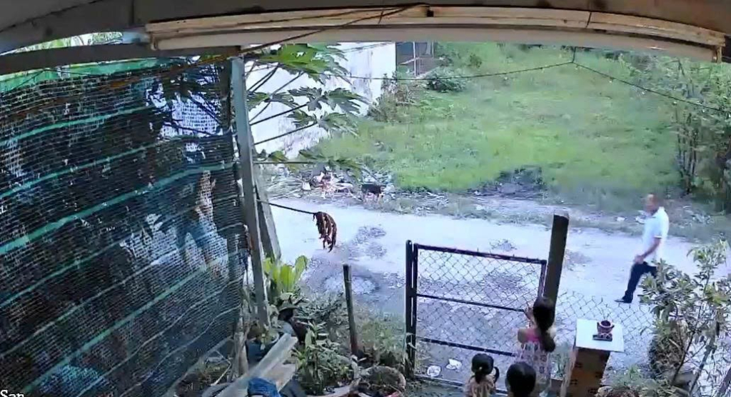 Tranh chấp đất ở T&acirc;y Ninh, cậu ch&eacute;m ch&aacute;u g&acirc;y thương t&iacute;ch 74% - Ảnh 1.