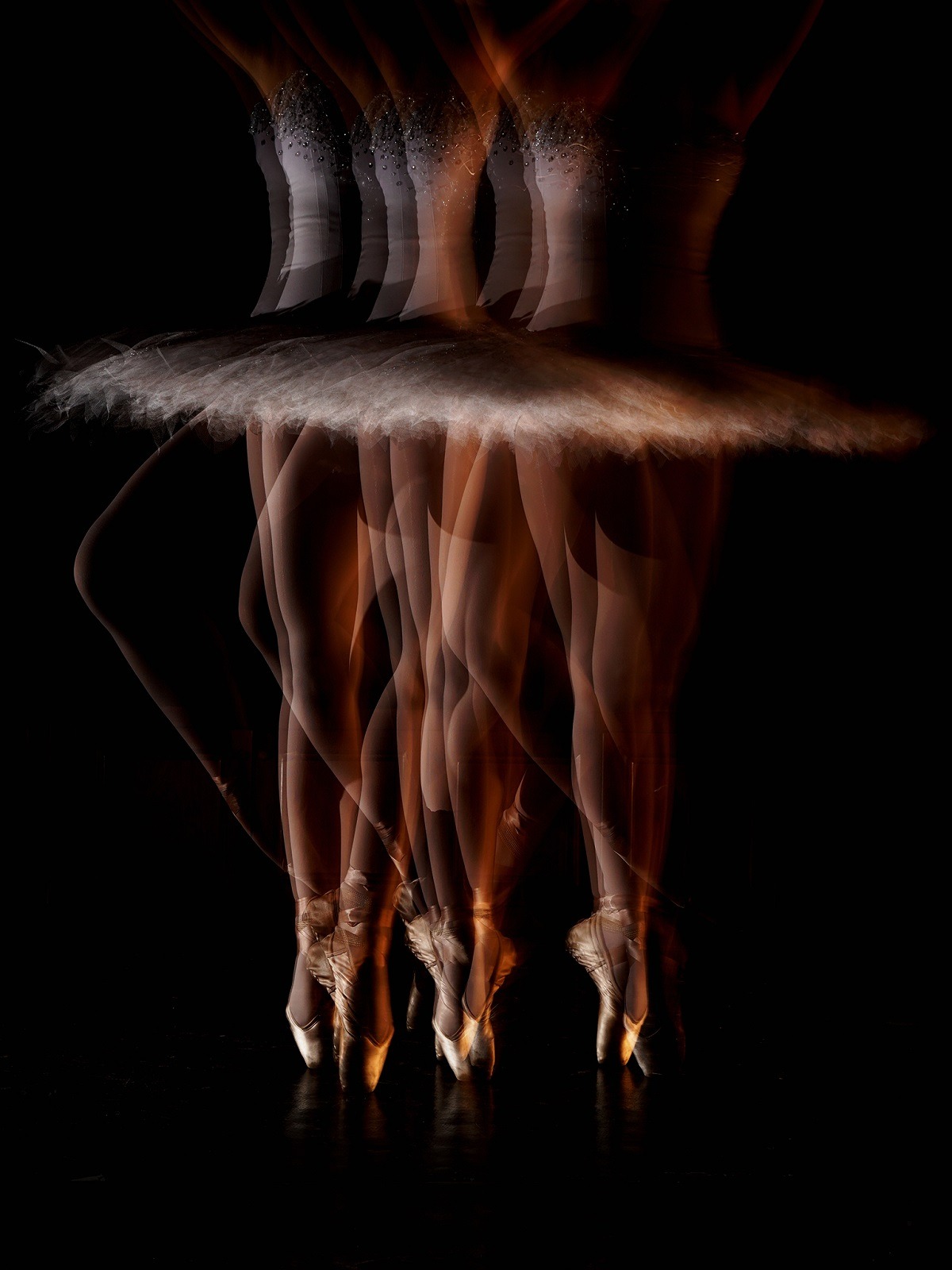 Tác phẩm Thiên Nga