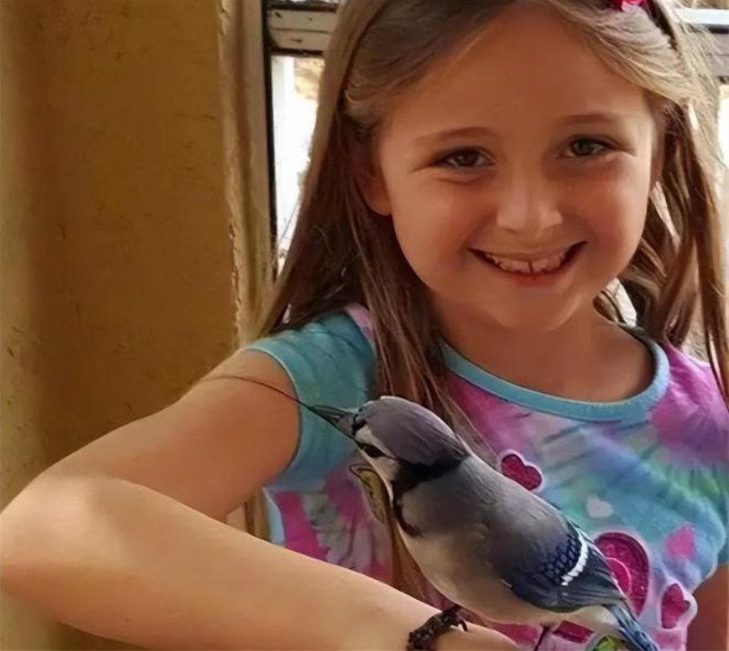 Được cứu sống lúc hấp hối, chú chim nhỏ "trả ơn" người phụ nữ mắc ung thư theo cách bác sĩ cũng ngỡ ngàng - Ảnh 2.