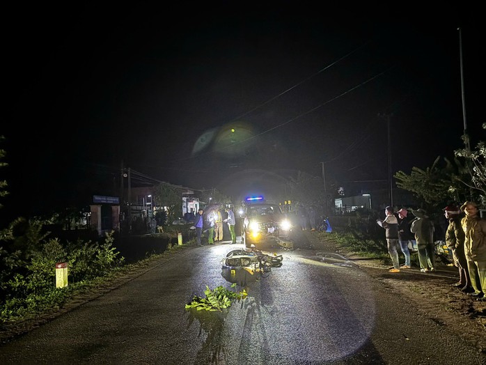 Bắt tài xế gây tai nạn chết người, bỏ trốn và nhờ người khác nhận tội - Ảnh 1. Bắt tài xế gây tai nạn chết người, bỏ trốn và nhờ người khác nhận tội - Ảnh 1.