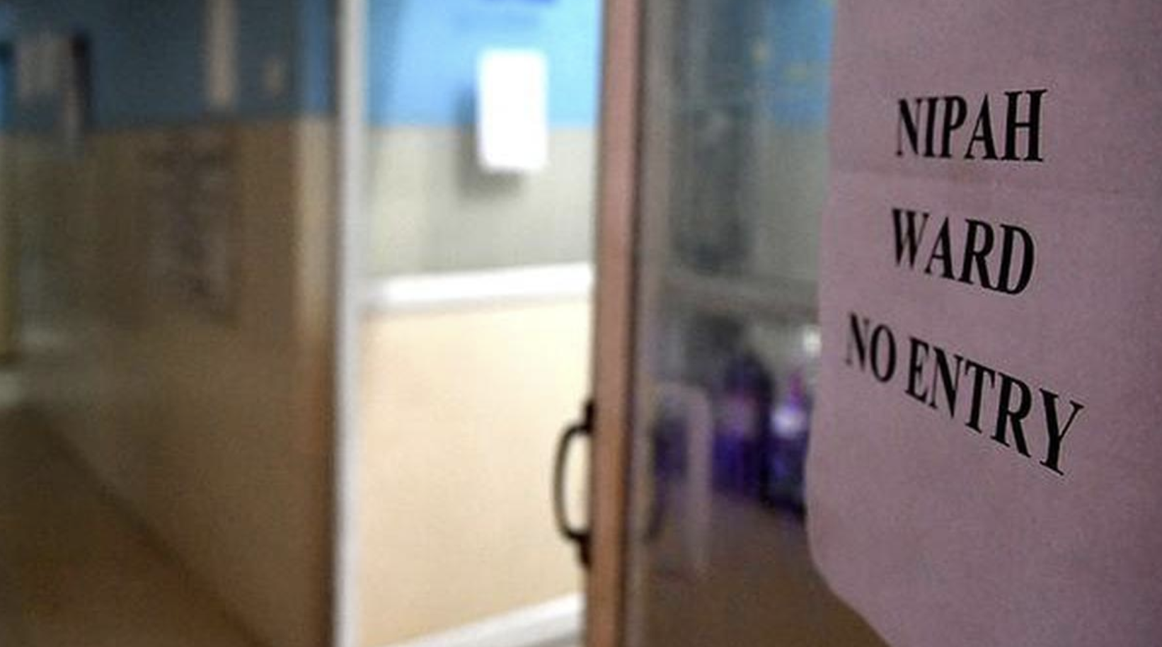 Ấn Độ: Điều Dưỡng Tử Vong Sau Khi Nhiễm Virus Nipah - Ảnh 1.