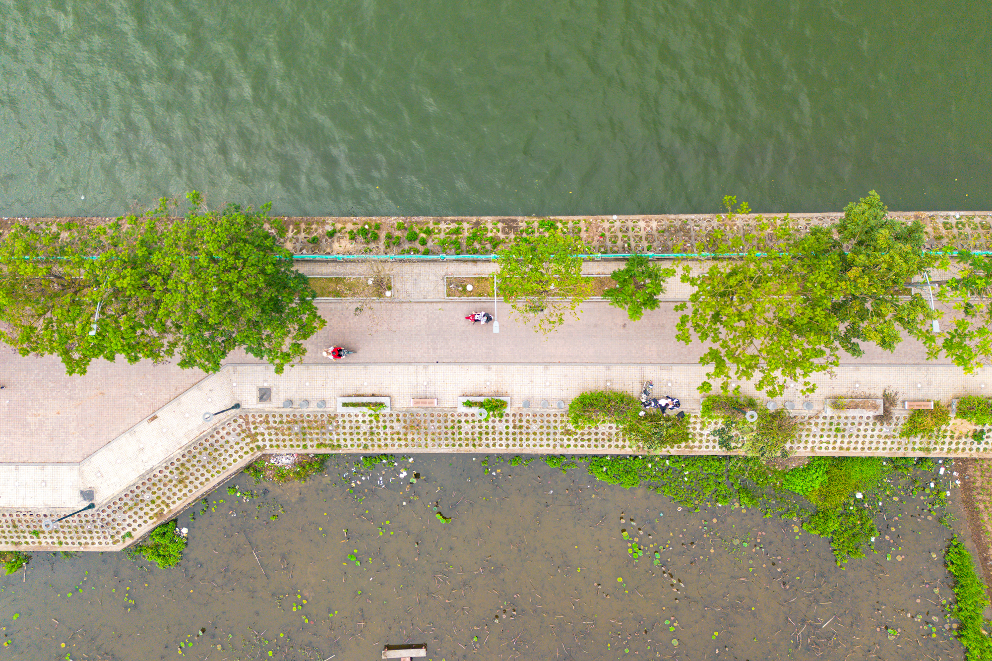 To&agrave;n cảnh dự &aacute;n 30.000 tỷ gi&uacute;p hồ T&acirc;y &ldquo;lột x&aacute;c&rdquo;: Giữ nguy&ecirc;n mặt nước, th&ecirc;m vườn hoa, quảng trường nổi v&agrave; b&atilde;i xe ngầm- Ảnh 11.