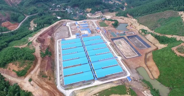 Quảng Ninh: Nhộn nhịp ng&agrave;y đầu năm, h&agrave;ng đo&agrave;n người n&ocirc; nức xếp h&agrave;ng nhận "l&igrave; x&igrave;" - Ảnh 2.