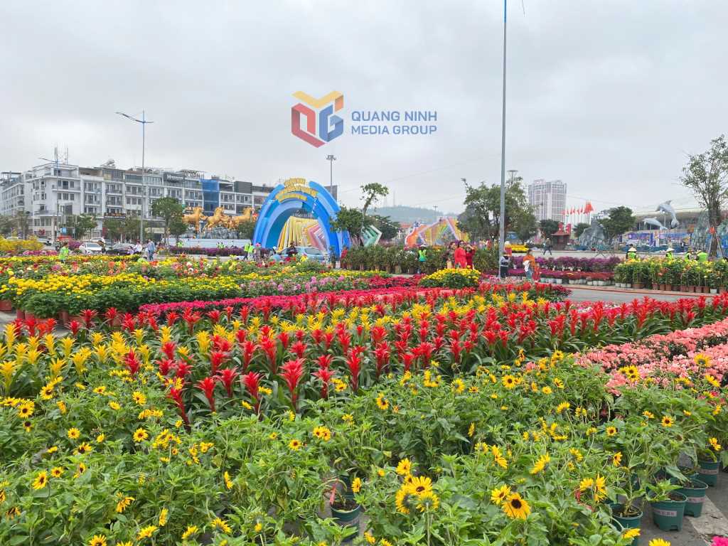 Ng&agrave;y mai, một sự kiện đặc biệt sẽ diễn ra tại Quảng Ninh - Ảnh 2.