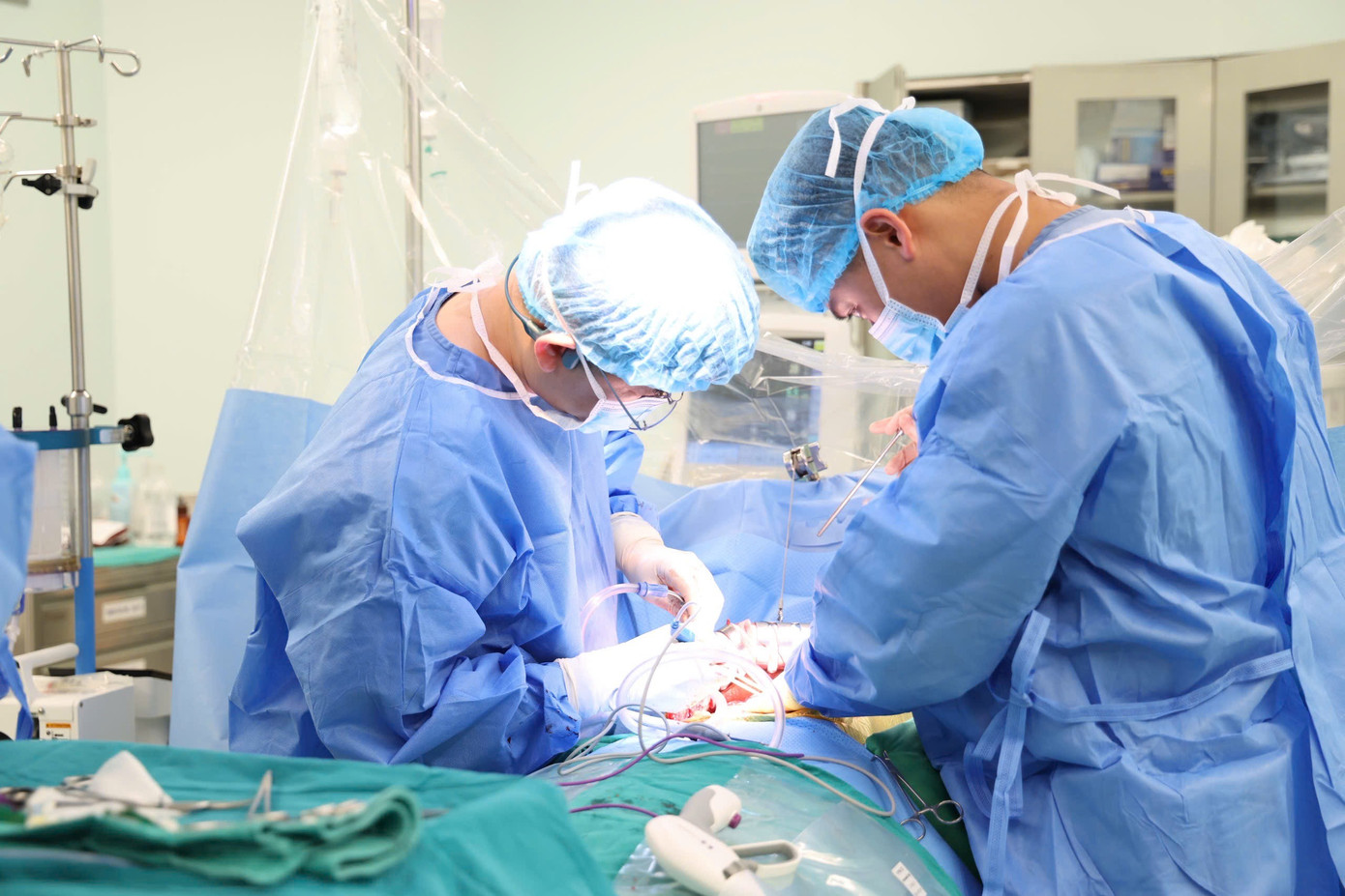 Img 4119 1771111460368 1771111461124845016169