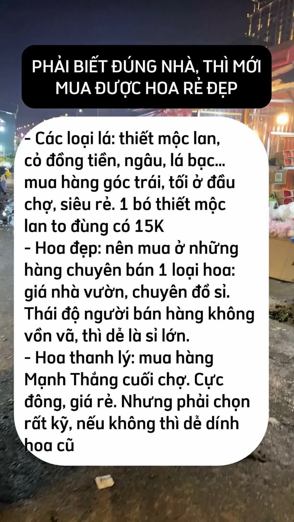 Mua hoa Tết ở Quảng B&aacute;, ch&ecirc;nh v&agrave;i trăm ngh&igrave;n l&agrave; chuyện thường: 5 mẹo kh&ocirc;ng bao giờ bị hớ từ người c&oacute; 10 năm kinh nghiệm - Ảnh 7.