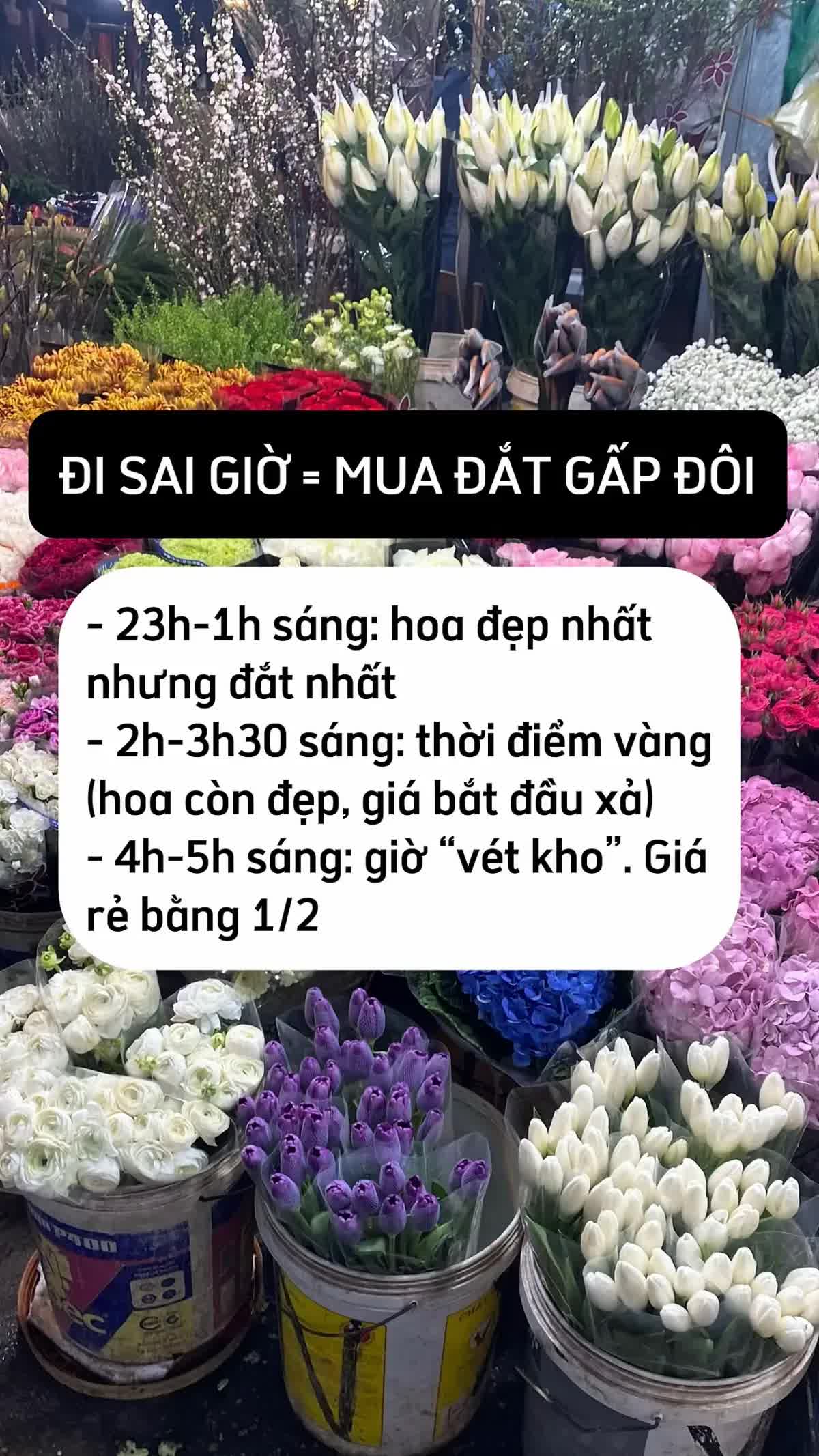Mua hoa Tết ở Quảng B&aacute;, ch&ecirc;nh v&agrave;i trăm ngh&igrave;n l&agrave; chuyện thường: 5 mẹo kh&ocirc;ng bao giờ bị hớ từ người c&oacute; 10 năm kinh nghiệm - Ảnh 3.